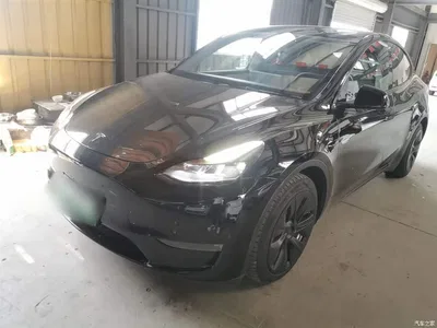 2021 Tesla Model Y Standard Range Rear-Wheel Drive, фото 2, лот 10376981