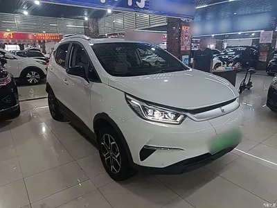 2021 BYD Yuan Pro 401KM Luxury Model, фото 4, лот 10362711