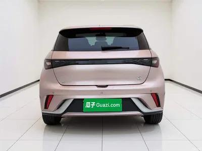 2021 BYD Dolphin 405km Freedom Edition, фото 3, лот 10807864