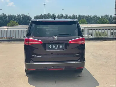 2017 Buick GL8 28T Avenir China V, фото 4, лот 10254657