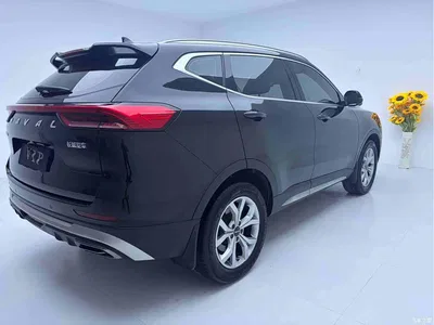2021 Haval H6 Model National Trend Edition 1.5T Auto Champion, фото 4, лот 11202849