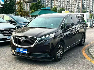 2017 Buick GL8 ES 28T Flagship China V, фото 1, лот 10894514