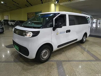 2025 SAIC Maxus Dana V1 V1+ Long Wheelbase Low Roof Multi-Purpose Version (62kWh), фото 1, лот 11184049