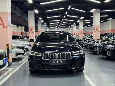 2022 BMW 5 Series 530Li Leading M Sport Package, фото 2, лот 11074670