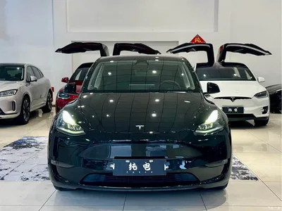 2021 Tesla Model Y Standard Range Rear-Wheel Drive, фото 2, лот 10455530
