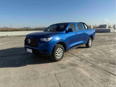 2019 Great Wall Pao 2.0T Commercial Version Manual Diesel 2WD Elite Long Box GW4D20M, фото 1, лот 10246122