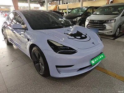 2022 Tesla Model 3 Model Rear-Wheel Drive Version, фото 4, лот 10369966