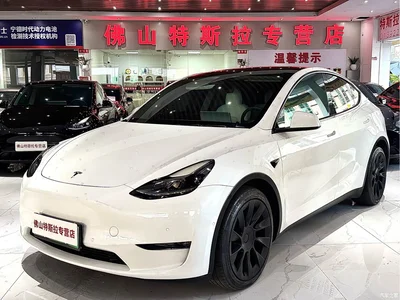2021 Tesla Model Y Long Range All-Wheel Drive 3D7, фото 1, лот 10455220