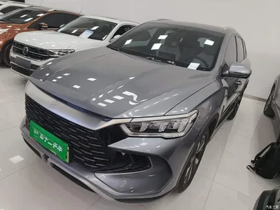 2024 BYD Song Pro New Energy Glory Edition DM-i 71KM Pilot, фото 2, лот 11073156