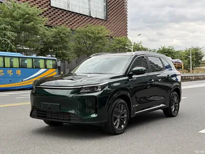 2025 Landian E5 PLUS 165km Long Range First Edition 7-seater, фото 1, лот 11644587