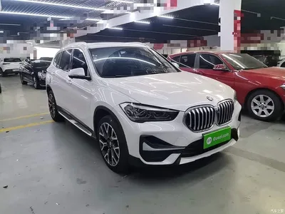 2022 BMW X1 xDrive25Li Premium, фото 4, лот 10803997