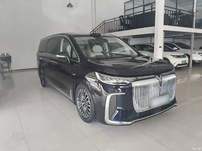 2025 Voyah Auto Voyah Dreamer Model PHEV Basic Version, фото 4, лот 10598581