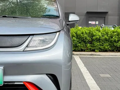2021 BYD Dolphin Model 405km Fashion Edition, фото 4, лот 11087861