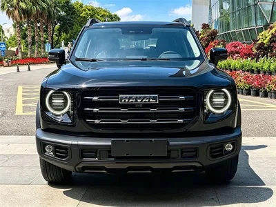 2022 Haval Big Dog 1.5T DCT FWD Border Collie Edition, фото 2, лот 11191263