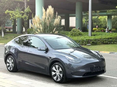 2021 Tesla Model Y Model Long Range AWD, фото 2, лот 11198309