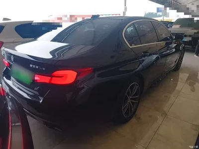 2022 BMW 5 Series New Energy Facelift II 535Le Pioneer Edition M Sport Package, фото 4, лот 10894848