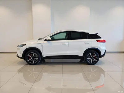 2019 XPeng G3 Smart Enjoyment Edition, фото 3, лот 11140417