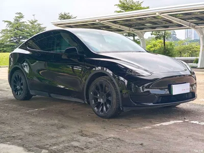 2022 Tesla Model Y Rear-Wheel Drive Version, фото 3, лот 10479525