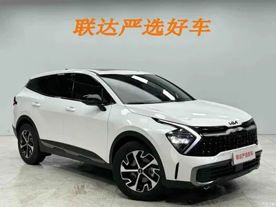 2025 Kia Sportage Model 1.5T 2WD Premium Smart Edition, фото 4, лот 10335966