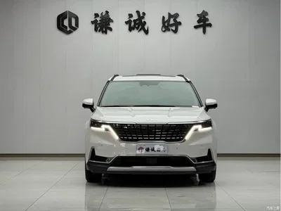 2021 Kia Carnival 2.0T Flagship Edition, фото 2, лот 10394873