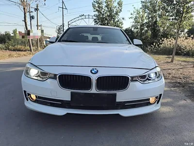 2015 BMW 3 Series 320Li Super Joy Fashion, фото 3, лот 11570731