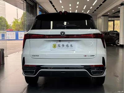 2025 Changan CS75 PLUS 3rd Generation Champion Edition 1.5T Power Voyage, фото 4, лот 10252278