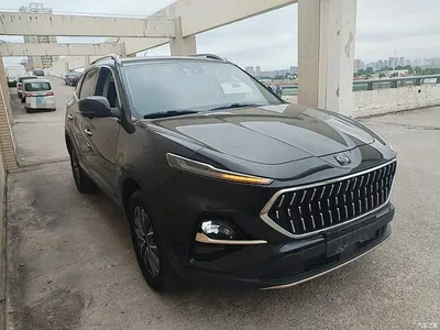 2021 Sehol X7 1.5T Flagship, фото 4, лот 11153446