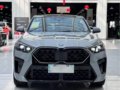 2025 BMW X2 (Import) xDrive25i M Sport Black Night Edition, фото 2, лот 10475490