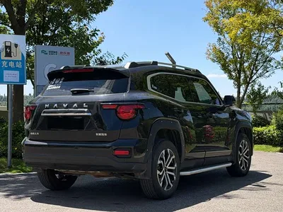 2023 Haval Da Gou 2nd Gen 1.5T 2WD Trend & Wild Edition Plus, фото 4, лот 10297657