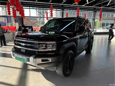 2023 Byd Leopard 5 Pilot Edition, фото 1, лот 10830877