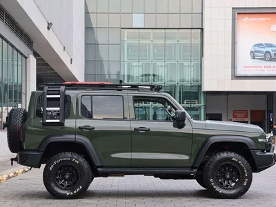 2024 Tank 300 Model 2.0T Challenger, фото 4, лот 10345071