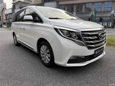 2018 GAC Trumpchi Trumpchi M8 320T Exclusive Edition, фото 3, лот 10630082