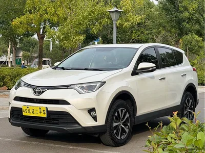 2019 Toyota RAV4 Rongfang 2.0L CVT 2WD Trend Edition China VI, фото 1, лот 10621788