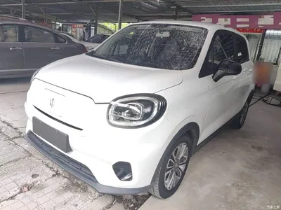2024 Leapmotor T03 310 Comfort Edition, фото 2, лот 10442491