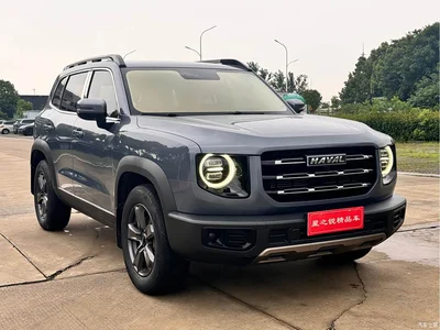 2021 Haval Big Dog 1.5T DCT 2WD Husky Edition, фото 3, лот 10361663