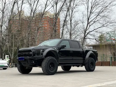 2019 Ford F-150 Raptor 3.5T Raptor Performance Edition, фото 3, лот 10280242
