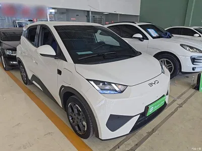 2025 BYD Seagull Smart Drive Edition 305km Freedom Version, фото 4, лот 11545978