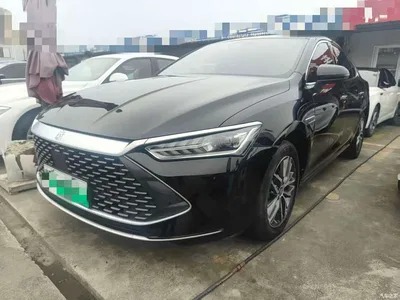 2023 BYD Qin PLUS Champion Edition DM-i 120KM Surpassing Type, фото 1, лот 11242620