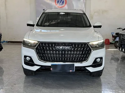 2023 Haval H6 National Trend Edition 1.5T Automatic Champion, фото 2, лот 10334436
