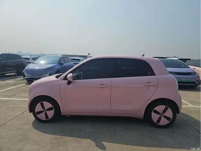 2021 Ora Black Cat 301km Pet Edition, фото 3, лот 10332229