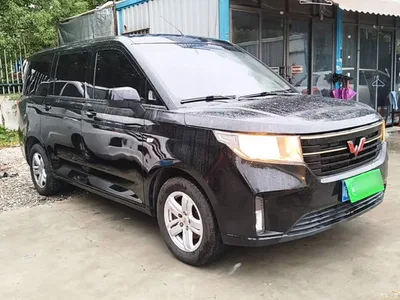 2020 Wuling Motors Wuling Hongguang PLUS 1.5L Manual Comfort 7-seater, фото 4, лот 11468941