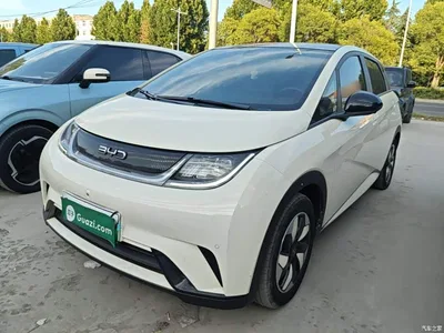 2024 BYD Dolphin Glory Edition 420km Fashion Edition, фото 1, лот 10259626