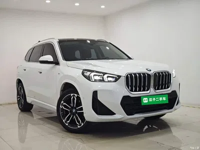 2023 BMW X1 sDrive25Li M Sport Package, фото 4, лот 10467383