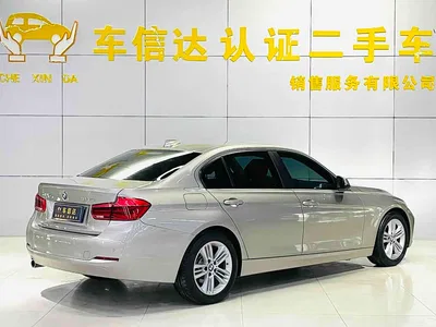 2018 BMW 3 Series 318Li, фото 3, лот 11132952
