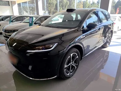 2025 Shangjie SUV Model Pure Electric Max, фото 2, лот 11642390