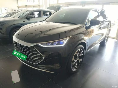 2025 BYD Tang New Energy DM-i 115KM Prestige Type, фото 2, лот 10272454