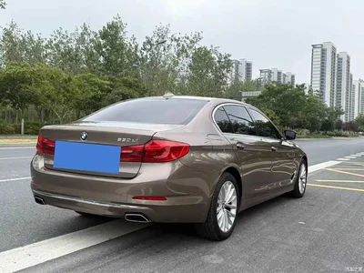 2018 BMW 5 Series Facelift 530Li Leading Luxury Package, фото 4, лот 10838339
