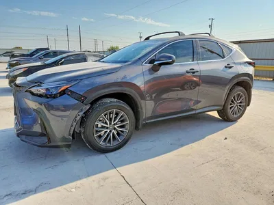 2025 LEXUS NX 350H PREMIUM, фото 1, лот 10900176