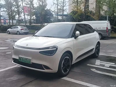 2024 Dongfeng Yipai Nano 01 430 Plus Smart+, фото 2, лот 11216377