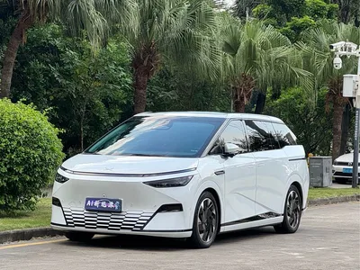 2024 XPeng X9 640 AWD High Performance Max, фото 1, лот 10375125
